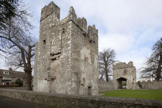 Monkstown Castle, Co Dublin 2